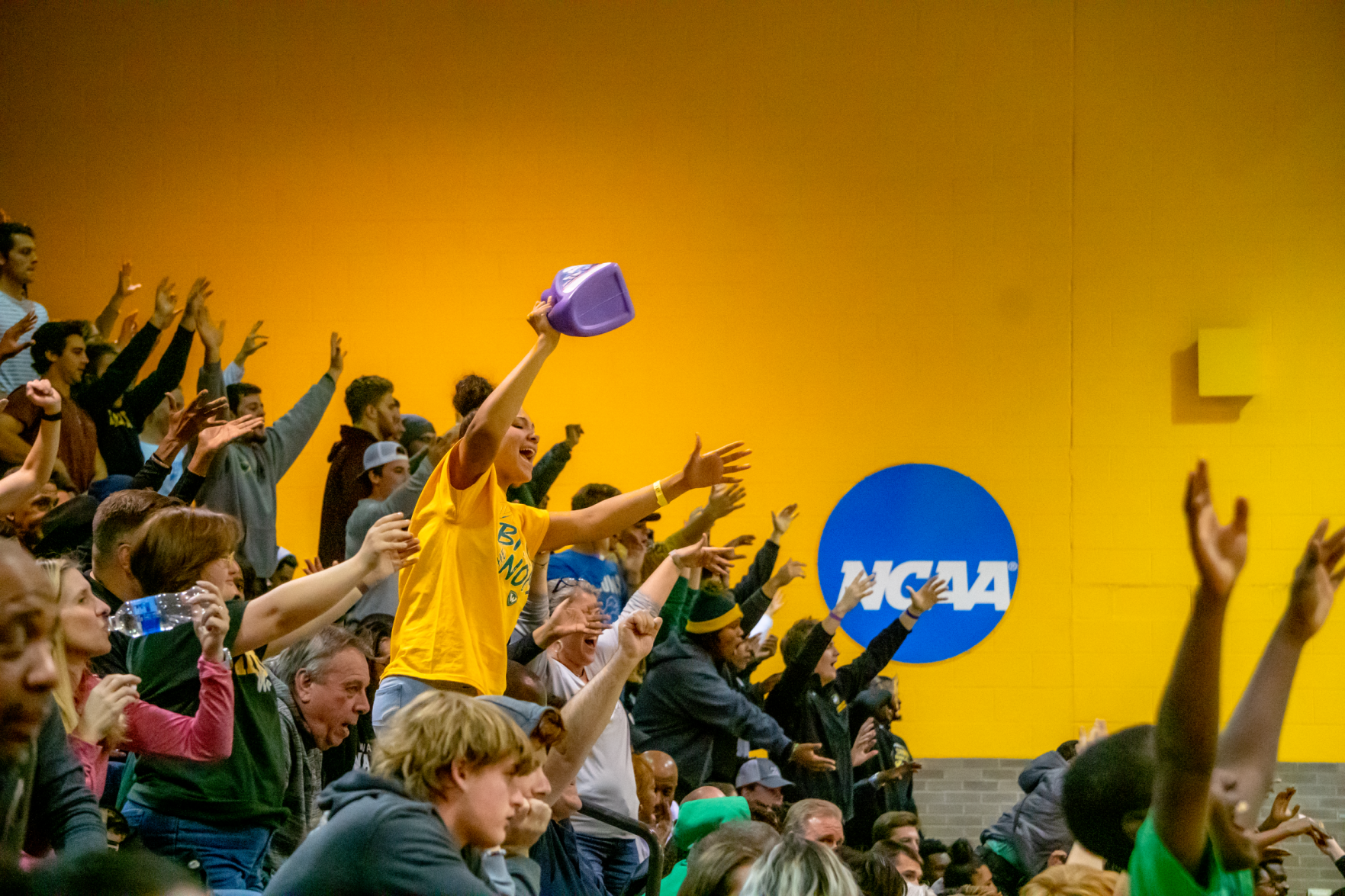 WSU crowd